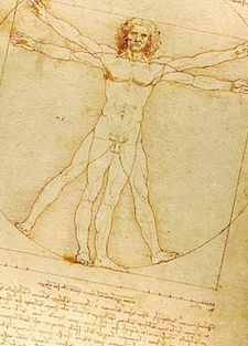 レオナルドダヴィンチの人体図