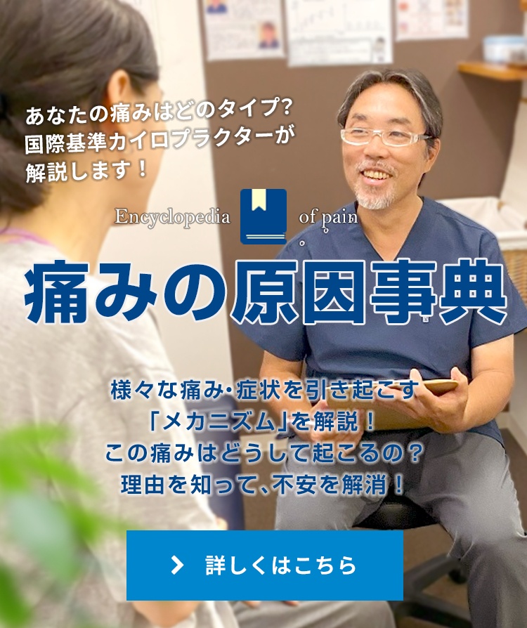 痛みの原因事典／あなたはどのタイプ？国際基準のカイロプラクターが解説する